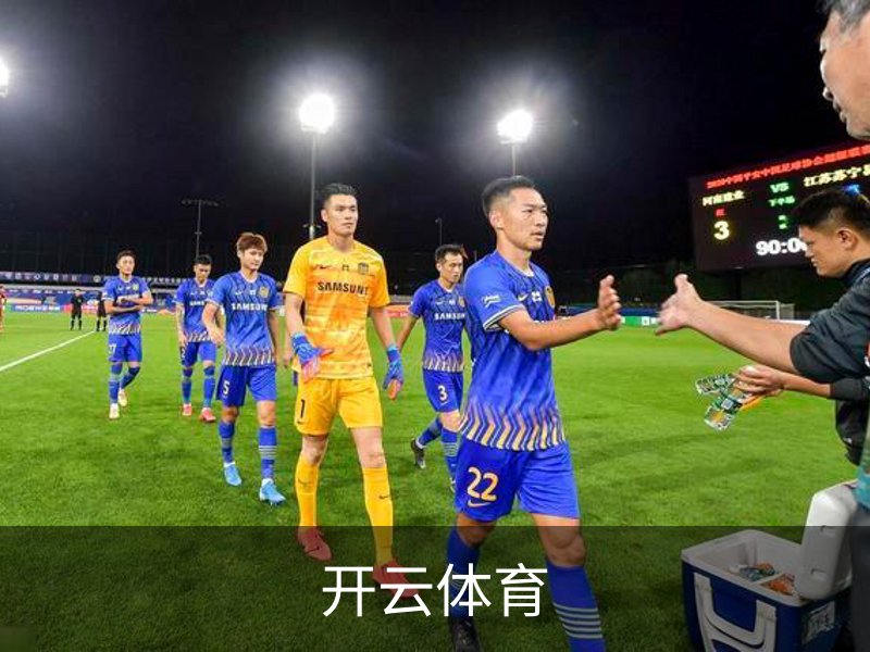开云体育介绍